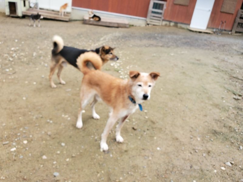 f:id:roukenhome-ann:20191022115919j:plain