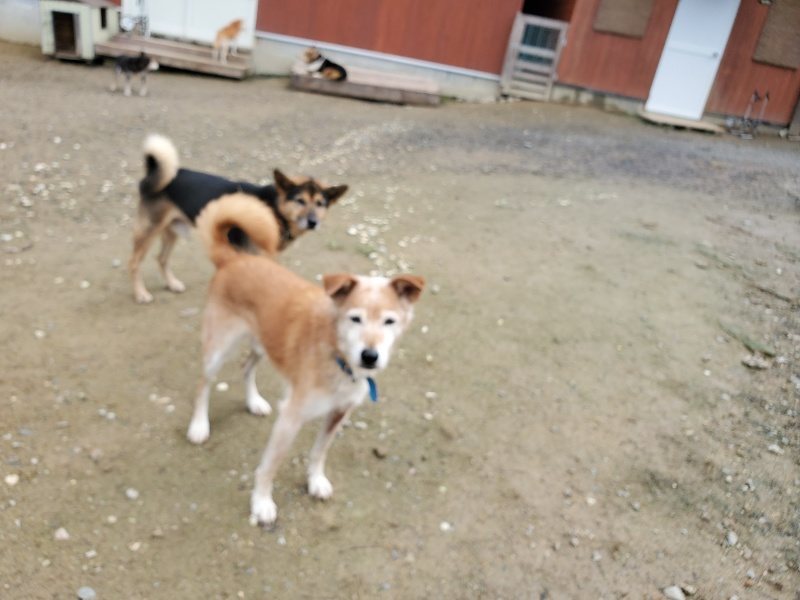 f:id:roukenhome-ann:20191022115931j:plain