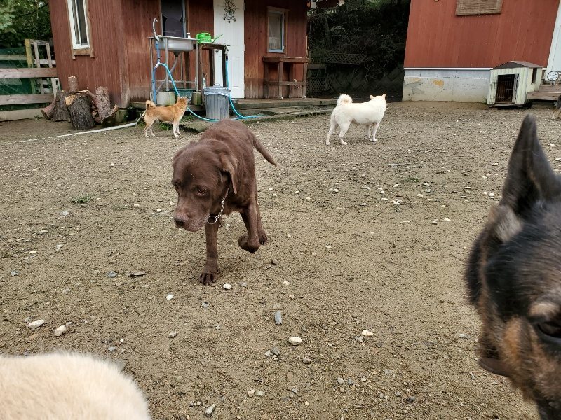 f:id:roukenhome-ann:20191022120136j:plain
