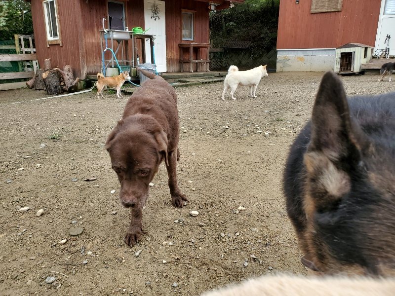 f:id:roukenhome-ann:20191022120228j:plain