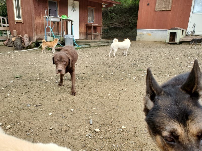 f:id:roukenhome-ann:20191022120324j:plain