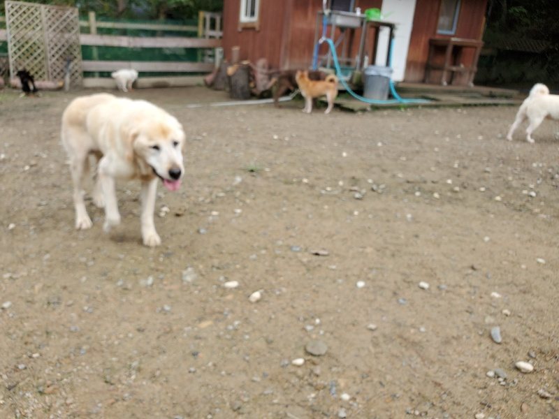 f:id:roukenhome-ann:20191022120540j:plain