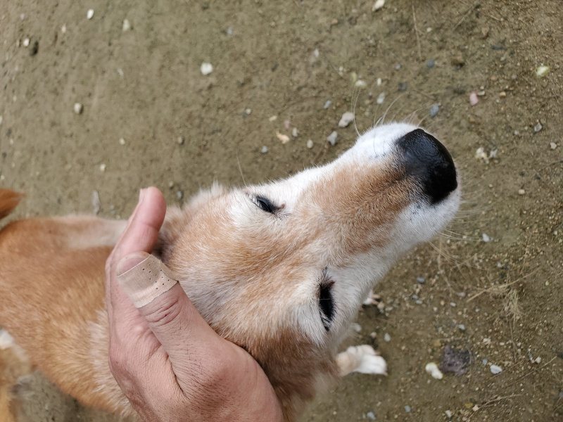 f:id:roukenhome-ann:20191022121147j:plain