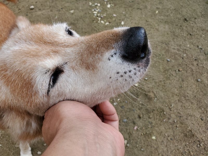 f:id:roukenhome-ann:20191022121153j:plain