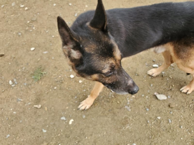 f:id:roukenhome-ann:20191022121202j:plain