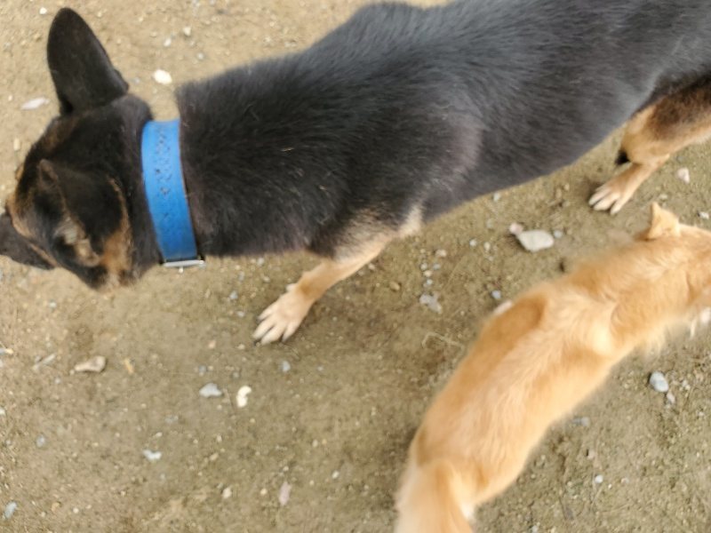 f:id:roukenhome-ann:20191022121214j:plain