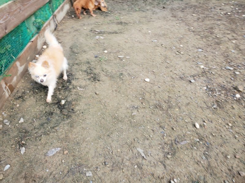 f:id:roukenhome-ann:20191022121616j:plain