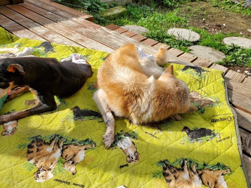 f:id:roukenhome-ann:20191022121821j:plain