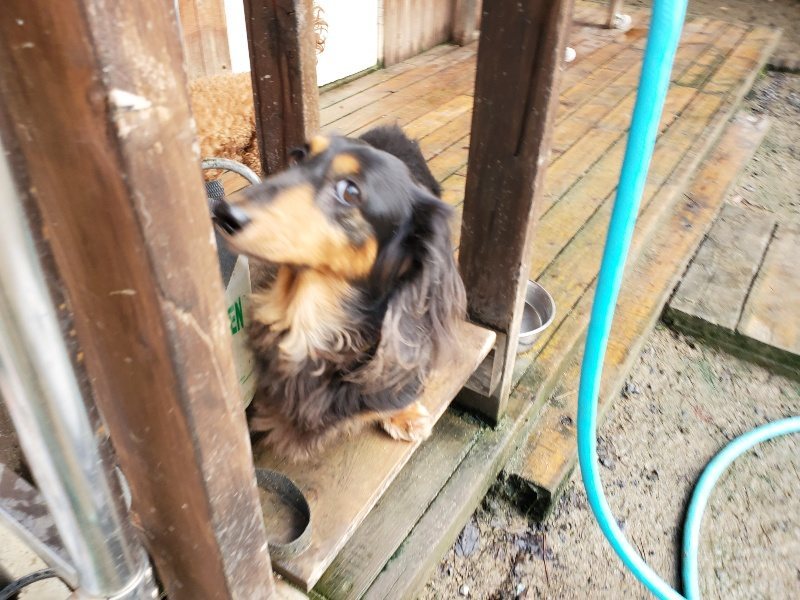 f:id:roukenhome-ann:20191022121942j:plain