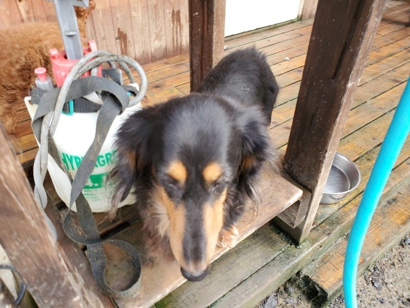 f:id:roukenhome-ann:20191022121948j:plain