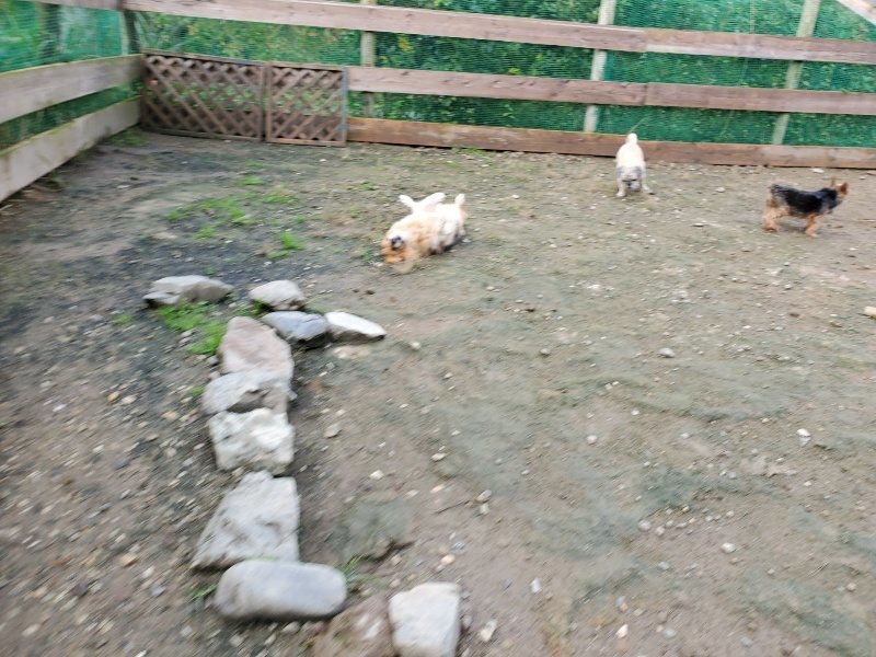 f:id:roukenhome-ann:20191022122921j:plain