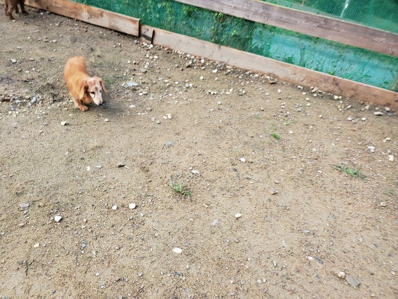 f:id:roukenhome-ann:20191022122945j:plain