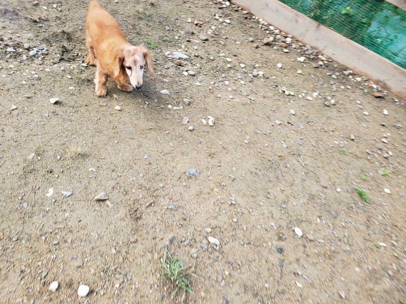 f:id:roukenhome-ann:20191022122952j:plain
