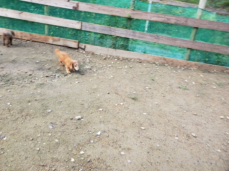 f:id:roukenhome-ann:20191022122959j:plain