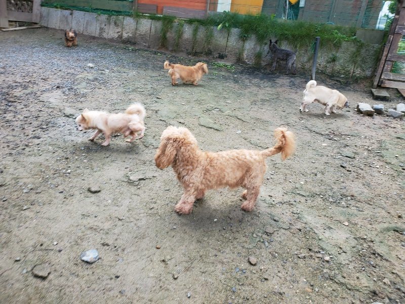 f:id:roukenhome-ann:20191022123011j:plain
