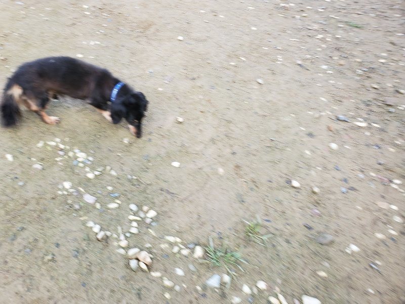 f:id:roukenhome-ann:20191022123024j:plain