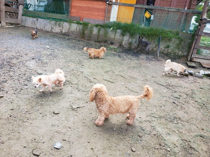 f:id:roukenhome-ann:20191022123033j:plain