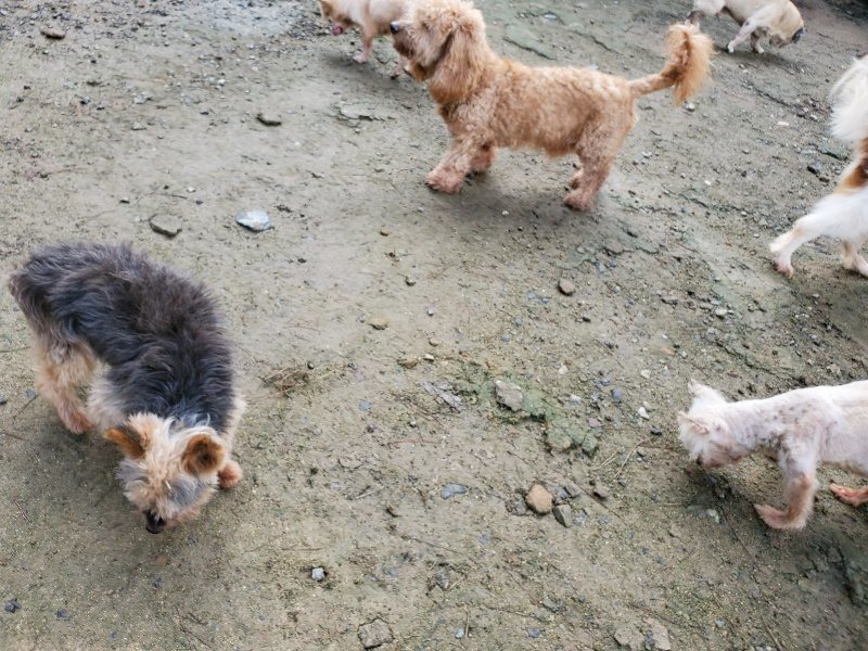 f:id:roukenhome-ann:20191022123050j:plain