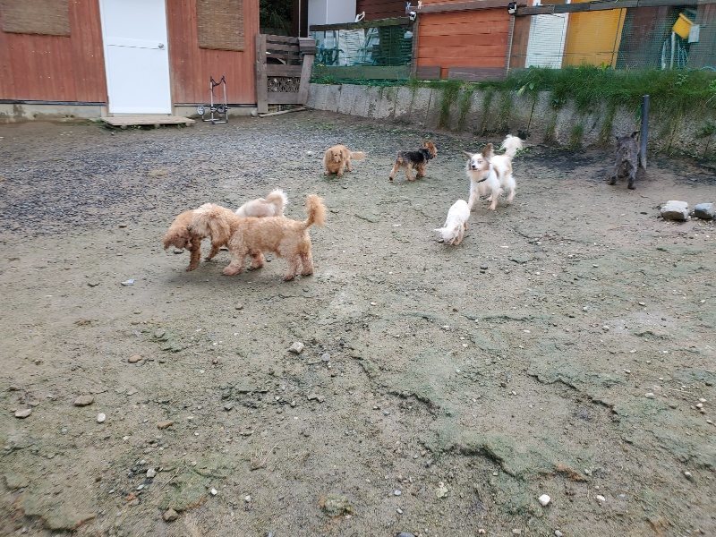 f:id:roukenhome-ann:20191022123111j:plain