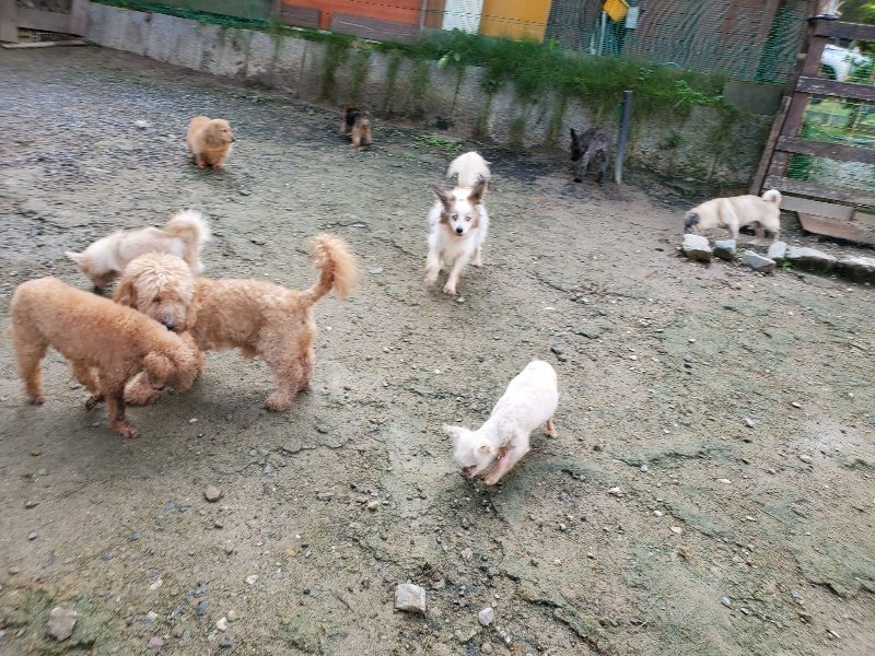 f:id:roukenhome-ann:20191022123118j:plain