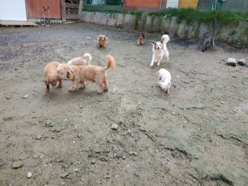 f:id:roukenhome-ann:20191022123127j:plain
