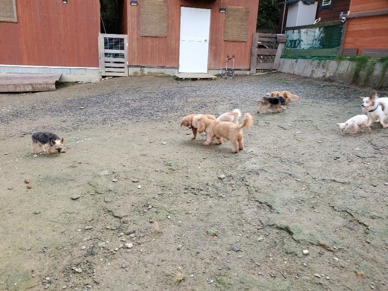 f:id:roukenhome-ann:20191022123133j:plain