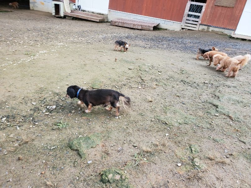 f:id:roukenhome-ann:20191022123206j:plain