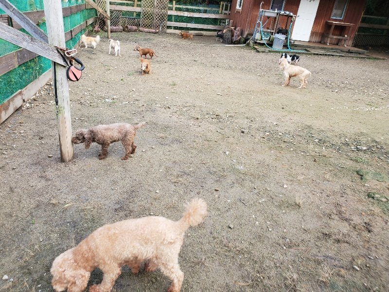 f:id:roukenhome-ann:20191022123220j:plain