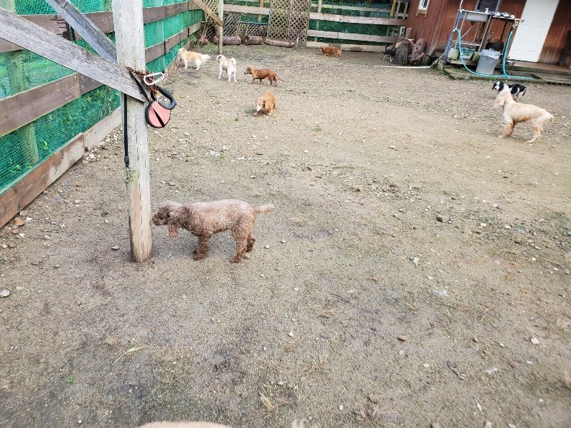f:id:roukenhome-ann:20191022123228j:plain