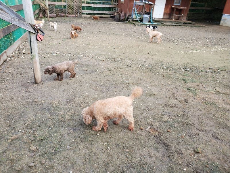 f:id:roukenhome-ann:20191022123240j:plain