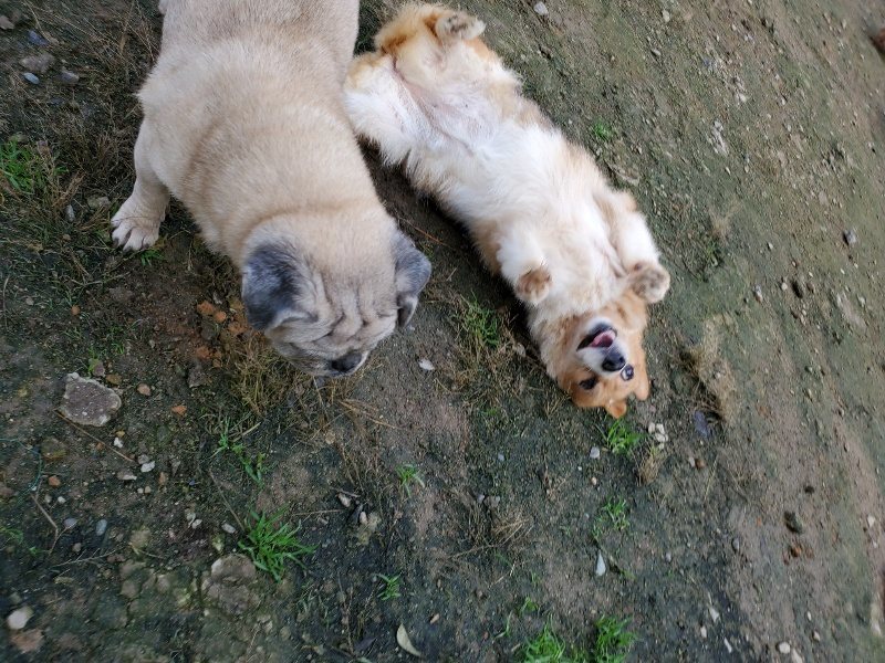 f:id:roukenhome-ann:20191022123300j:plain