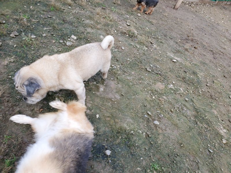 f:id:roukenhome-ann:20191022123345j:plain