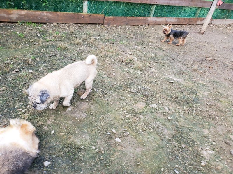 f:id:roukenhome-ann:20191022123354j:plain