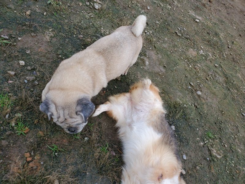 f:id:roukenhome-ann:20191022123402j:plain