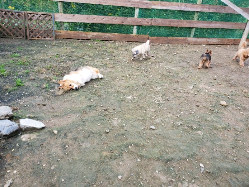 f:id:roukenhome-ann:20191022123419j:plain
