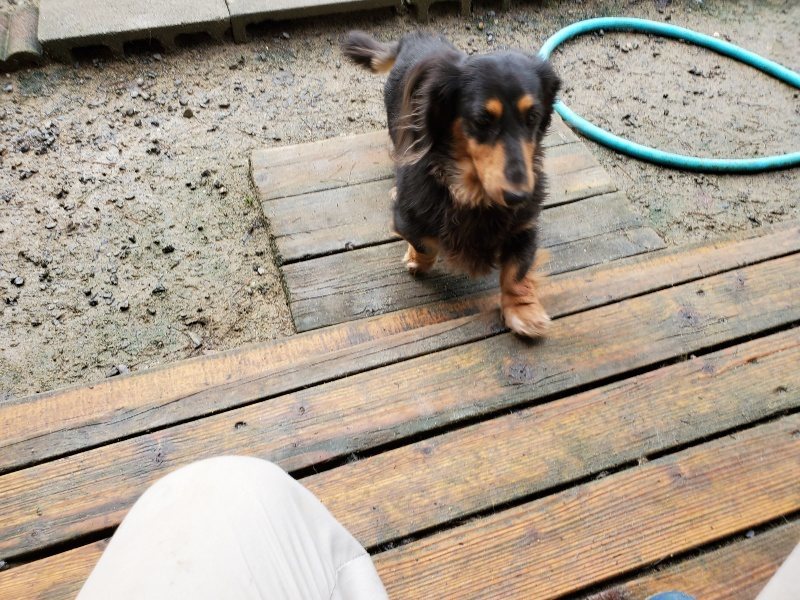 f:id:roukenhome-ann:20191022123714j:plain