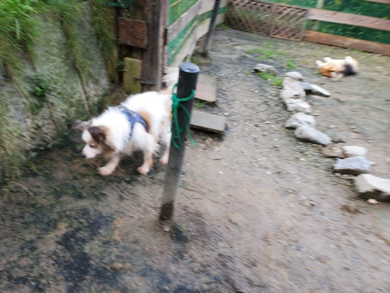 f:id:roukenhome-ann:20191022123736j:plain
