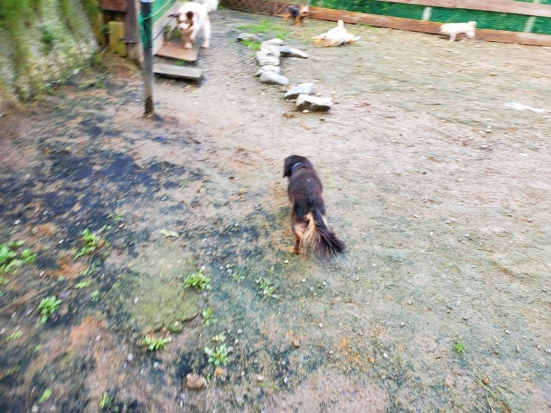 f:id:roukenhome-ann:20191022123745j:plain