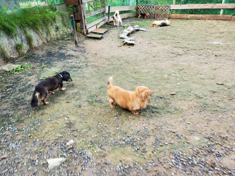 f:id:roukenhome-ann:20191022123822j:plain