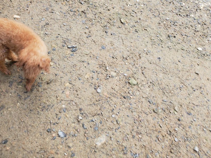 f:id:roukenhome-ann:20191022123953j:plain