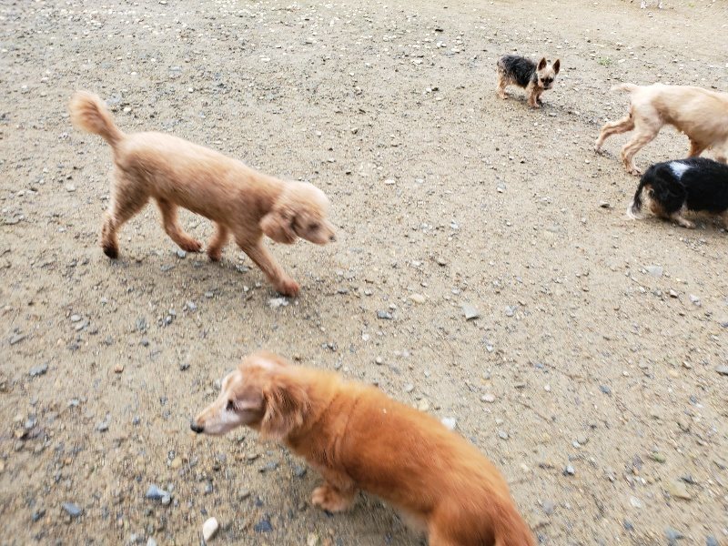 f:id:roukenhome-ann:20191022124011j:plain