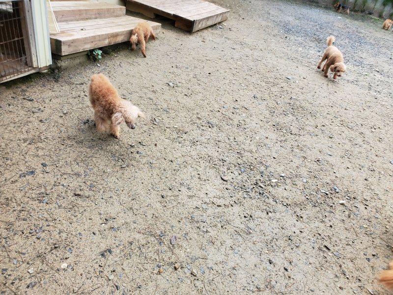 f:id:roukenhome-ann:20191022124021j:plain