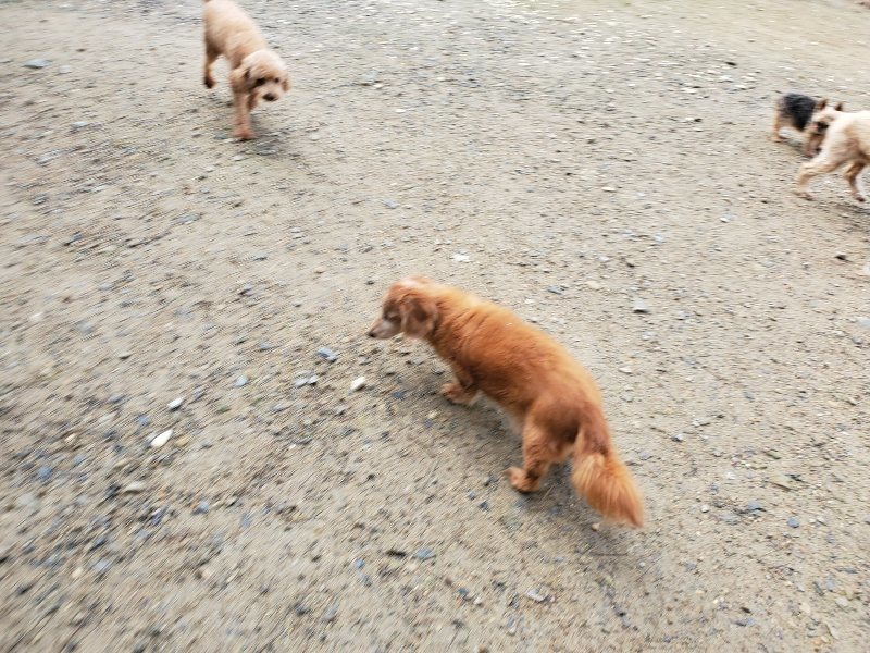 f:id:roukenhome-ann:20191022124030j:plain