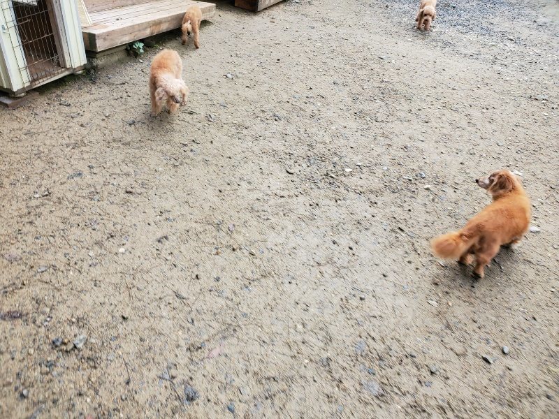f:id:roukenhome-ann:20191022124037j:plain