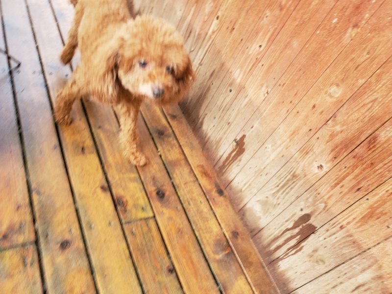 f:id:roukenhome-ann:20191022124052j:plain