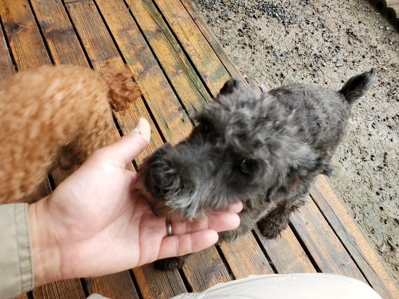 f:id:roukenhome-ann:20191022124102j:plain