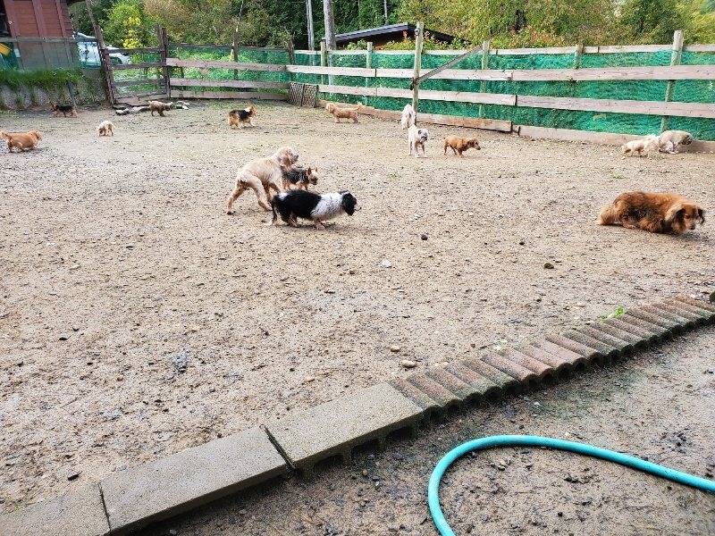 f:id:roukenhome-ann:20191022124118j:plain