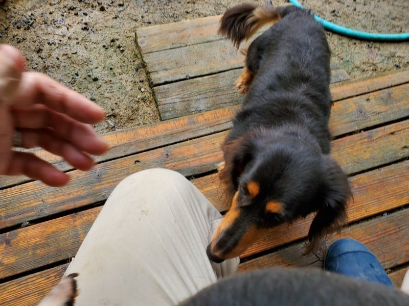 f:id:roukenhome-ann:20191022124214j:plain