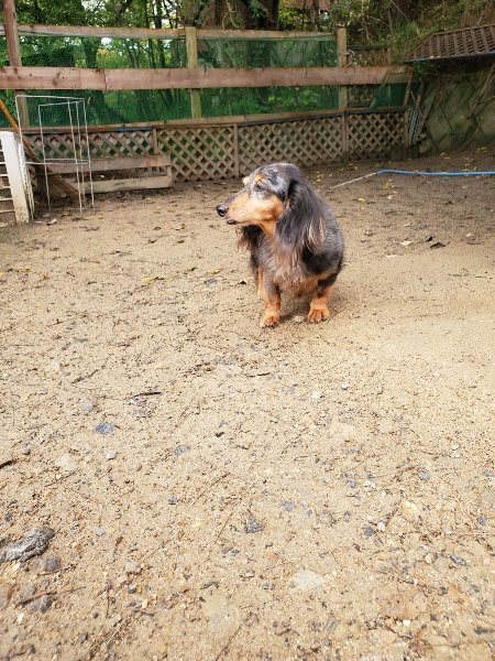f:id:roukenhome-ann:20191022124520j:plain