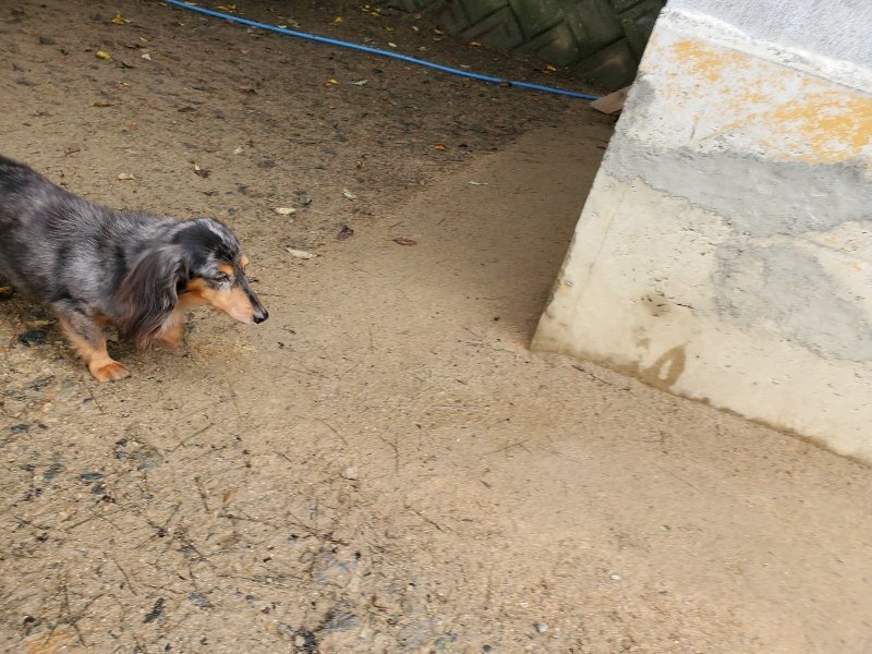 f:id:roukenhome-ann:20191022124535j:plain